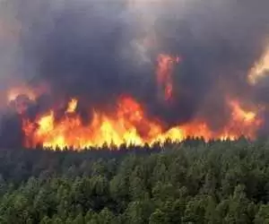 افزایش 353 درصدی آتش سوزی در طبیعت ایران  -  بیشترین آتش سوزی جنگل در چه ساعاتی رخ می دهد؟
