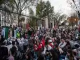 ویدیو  -  تحلیلگر آمریکایی: دانشجویان معترض، نیروهای نیابتی ایران هستند!