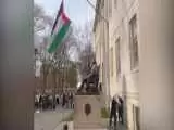 لحظه زیبای برافراشته شدن پرچم فلسطین در دانشگاه هاروارد  -  ویدئو