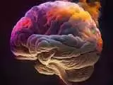 مغز انسان در حال بزرگ تر شدن است