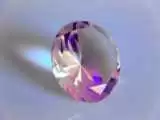 استخراج الماس از گل صدتومانی -  عکس