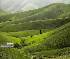 تصاویر - طبیعت بهاری کردستان