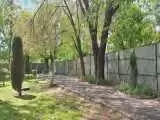 (فیلم) شایعۀ قطع درخت در پارک لاله صحت ندارد