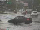 (فیلم) تلاش ناموفق دختر آمریکایی برای عبور از آب گرفتگی با خودرو