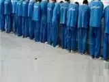 شبیخون پلیس به 98 سارق حرفه ای در مازندران