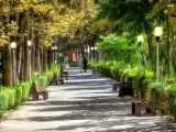 (فیلم) تعبیر خواب شهرداری زاکانی برای پارک های تهران