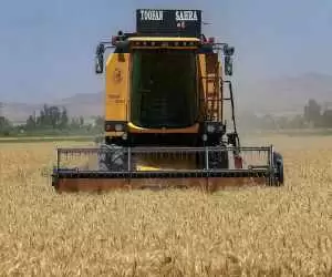 خبر جدید برای گندمکاران  -  قیمت گندم مشخص شد