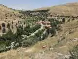 چرا شهرداری تهران درختان پارک جنگلی سرخه حصار را قطع کرد؟