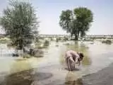 (فیلم) روستاییان سیستان آب سیلاب می خورند!