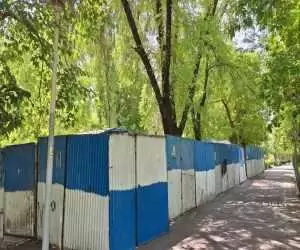 ویدیو  -  تصاویری جدید از داخل حصارکشی پارک لاله و درختان محصور