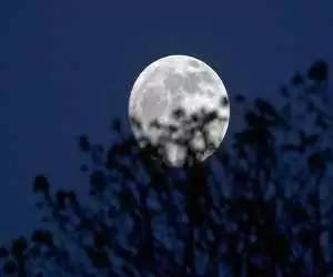 ماه کوچک می شود؛ چه عواقبی برای زمین خواهد داشت؟