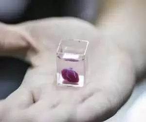 ویدیو  -  نخستین قلب پرینتِ سه بعدی با استفاده از بافت سلولی خود بیمار!