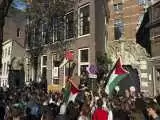 (فیلم) پلیس هلند کمپ معترضان با اسرائیل را با بولدوزر تخریب کرد