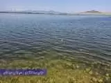 تصویر قایق سواری در دریاچه ارومیه خبرساز شد -  خوشحال شویم؟