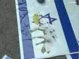 (فیلم) تظاهرات گسترده در پاکستان؛ از خوک روی پرچم اسرائیل تا آتش زدن پرجم سوئد