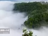 تصاویر - طبیعت مه آلود پیمبور