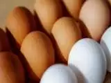 قیمت تخم مرغ در بازار امروز 23 اردیبهشت 1403