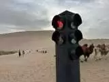 نصب چراغ راهنمایی و رانندگی در صحرا ویژه شترسوارها -  عکس