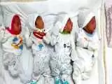 تولد نوزادان 4 قلو در کرمانشاه  -  خواهر و برادر شوکه شدند + عکس