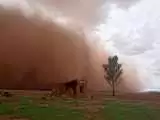 (فیلم) لحظه وقوع توفان در سمنان