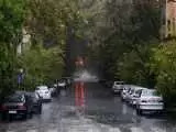 ویدیو  -  تصاویری از بارش شدید و ناگهانی باران در تهران