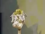 (فیلم) حراج الماس صد قیراطی در سوئیس