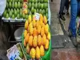 بازار تجریش و میوه های لاکچری