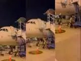 ویدیو  -  لحظه تلخ سقوط مهماندار از هواپیما به خاطر اشتباه مسئول پله!