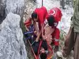 کوهنورد مارگزیده از ارتفاعات (جیریا) اراک نجات یافت
