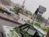 (فیلم) هم اکنون، بارش شدید باران و سیل دوباره در مشهد