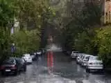 ویدیو  -  شدت بارش باران در مشهد به اوج رسید