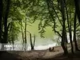 تصاویر - طبیعت بهاری دریاچه میانشه ساری