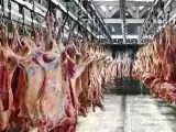 قیمت جدید دام زنده را در این 7 استان   هر کیلوگرم گوسفند زنده در بازار تهران چند؟