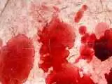 قتل خونین جوان کرجی بخاطر تنه به تنه شدن با قاتل + جزئیات