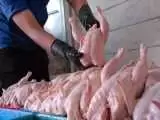 آخرین وضعیت گوشت مرغ و گوشت قرمز در بازار  -  گوشت منجمد گوساله کیلویی 315 هزار تومان؛ مرغ کیلویی چند؟