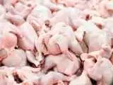 صادرات مرغ به 4 هزار تن رسید