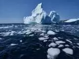 عکس  -  کوه های یخی که از گرما، آب تنی می کنند!