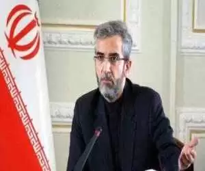 باقری: ایران و بریکس می توانند در تعیین مسیر آینده جهان سهیم باشند