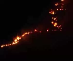 (فیلم) رکورد بی سابقه آتش سوزی ها در بزرگترین تالاب گرمسیریِ جهان
