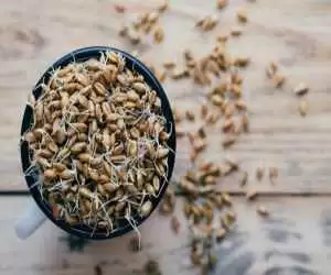 برای چاقی صورت جوانه گندم را کی و چگونه مصرف کنیم؟