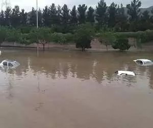 ویدیو  -  وحشت مردم در لحظه رسیدن سیل به روستای آل مشهد