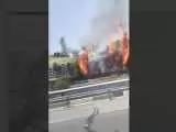 آتش سوزی فضای سبز در بزرگراه آزادگان تهران  -   ویدئو