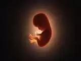 ویدیو  -  هشدار صداوسیما به زنان درمورد سقط جنین