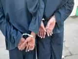 بازداشت مردانی که گنج های تاریخی داشتند  -  در پاسارگاد فاش شد