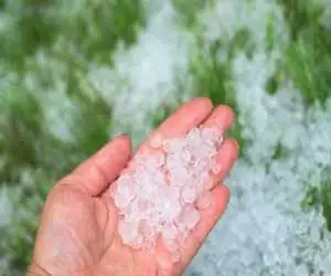 ویدیو - بارش جالب تگرگ در قوشاچای