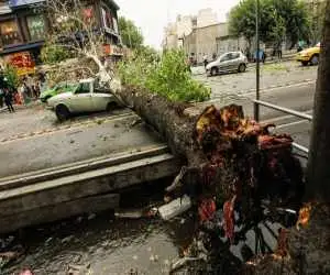 آمار فوتی ها و مصدومان طوفان های اخیر اعلام شد  -  2 عامل باعث مرگ این افراد شد