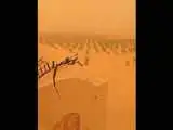 مناظر مریخی از طوفان گرد و غبار در مصر  -  ویدئو