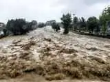سیل دیروز ارومیه خودروها را با خودش برد  -  حجم سیلاب را ببینید
