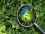 چرا مسموم می شویم؟