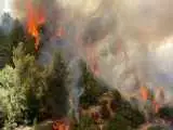 ویدیو  -   شعله های آتش در دامنه های دماوند زبانه کشید